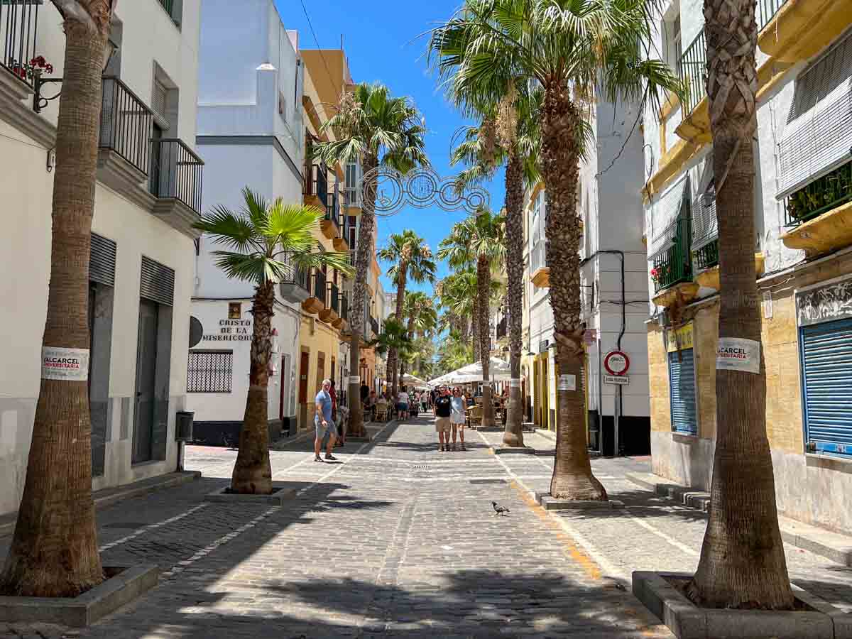 Calle Christo Miserichordia in Cadiz, with palm trees and cobblestones.