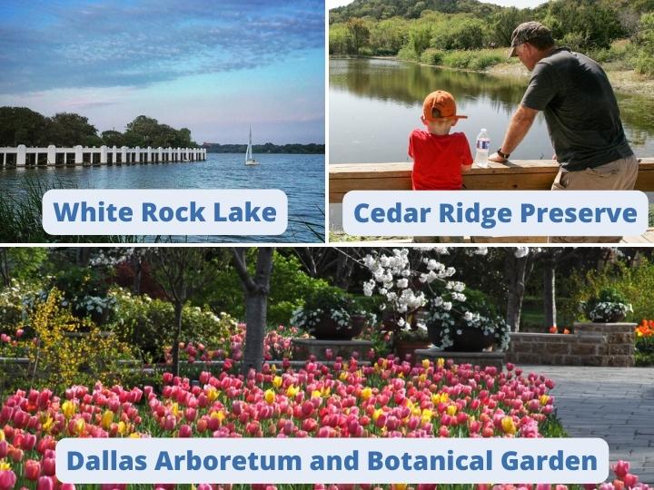Natural Beauty Dallas