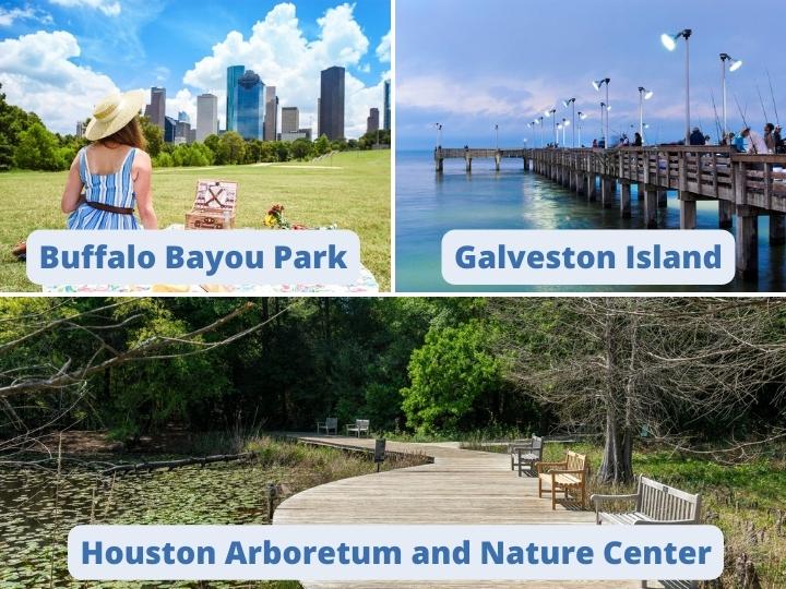 Natural Beauty Houston