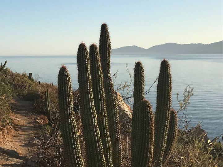 Punta Gorda Trail, La Ventana