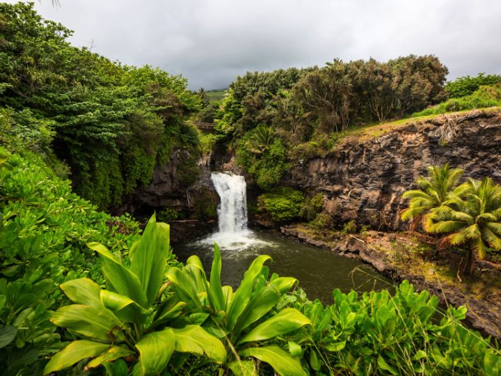 Scenery of Hawaii