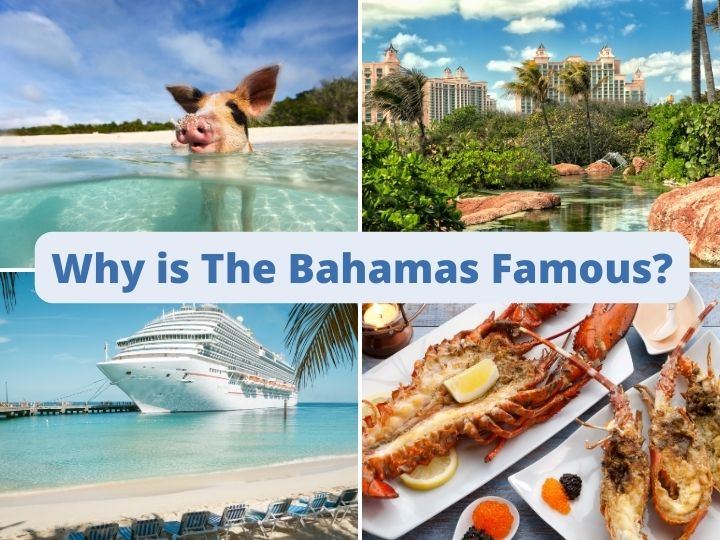 The Bahamas