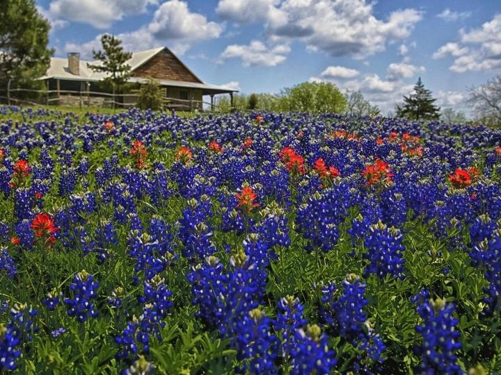 Ennis, Texas