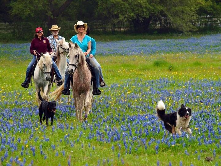BlissWood Bed and Breakfast Ranch, Located in Cat Spring