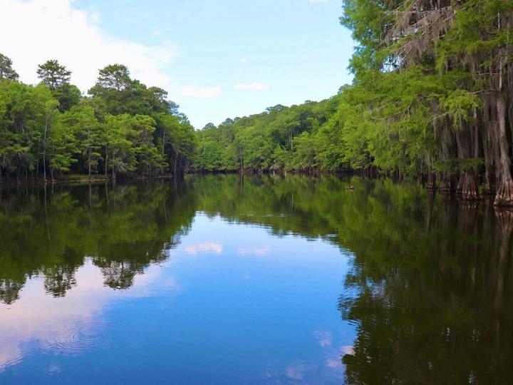 Caddo Lake , Texas