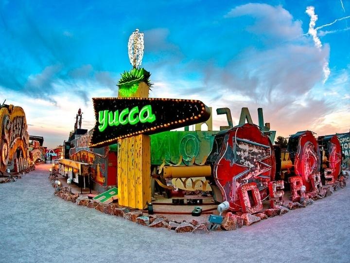 Neon Boneyard