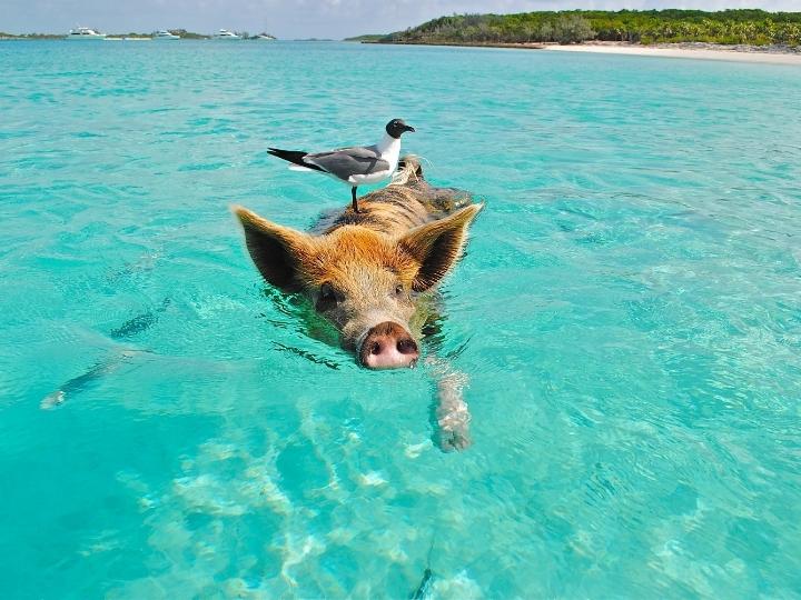Exuma Cays