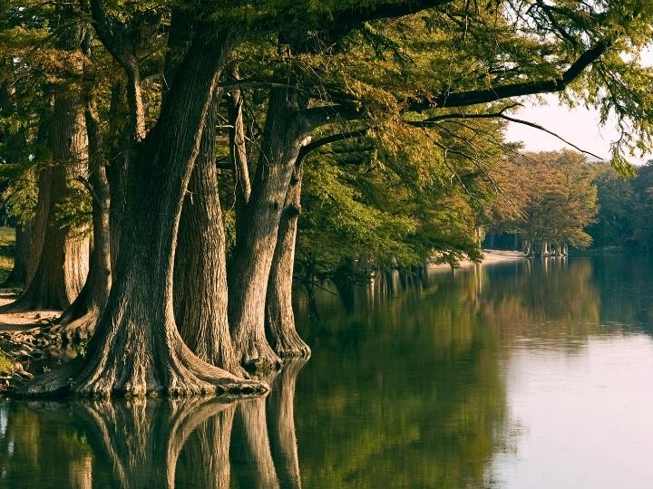 Frio River, Texas