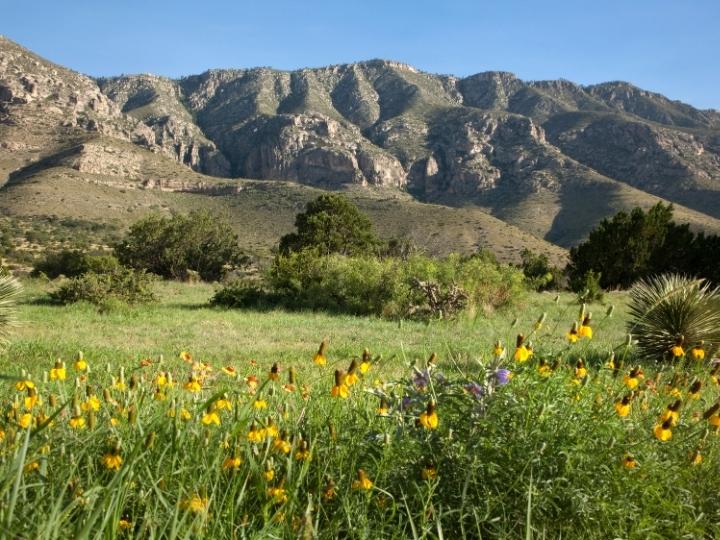Guadalupe Mountains National Park