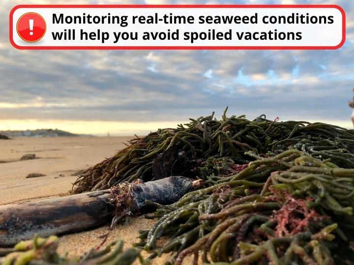 Monitoring Real-Time seaweed Conditions to avoid spoiled vacations