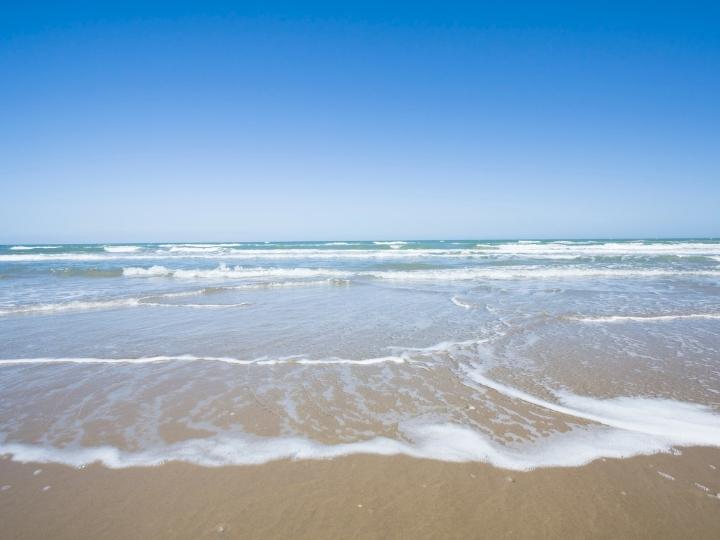 Padre Island National Seashore