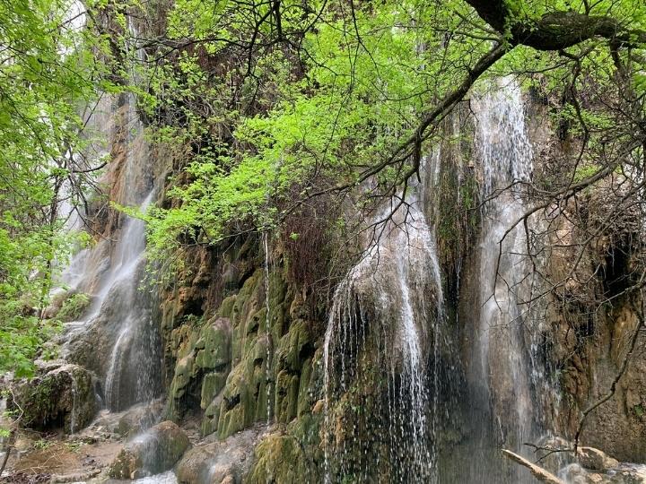 Gorman Falls Trail, TX