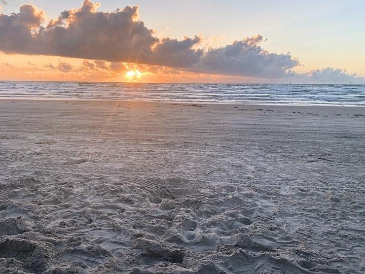 Mustang Island, TX