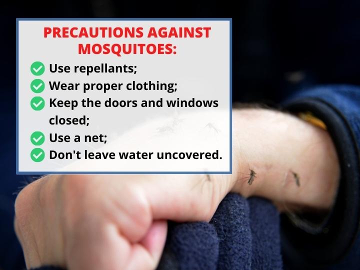 Take Precautions against Mosquitoes