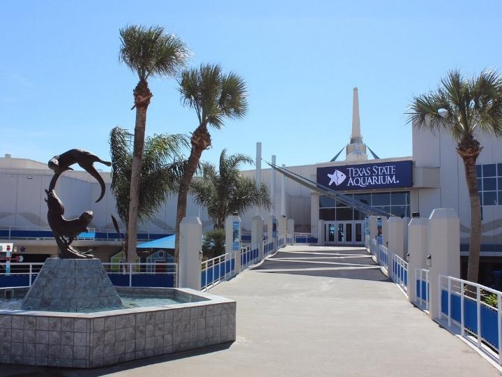 Texas State Aquarium