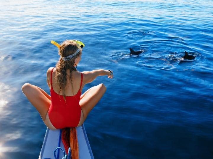 Dolphin-watching tour in Maldives