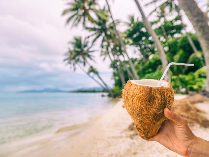 fresh coconut water drink