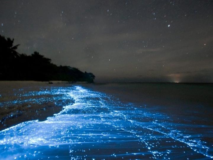 Luminous sand in Maldives