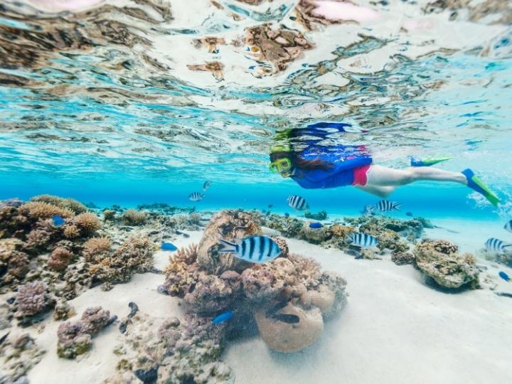 Snorkeling in Maldives