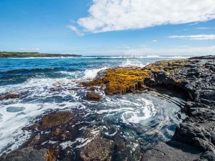 Punalu'u Beach, Hawaii