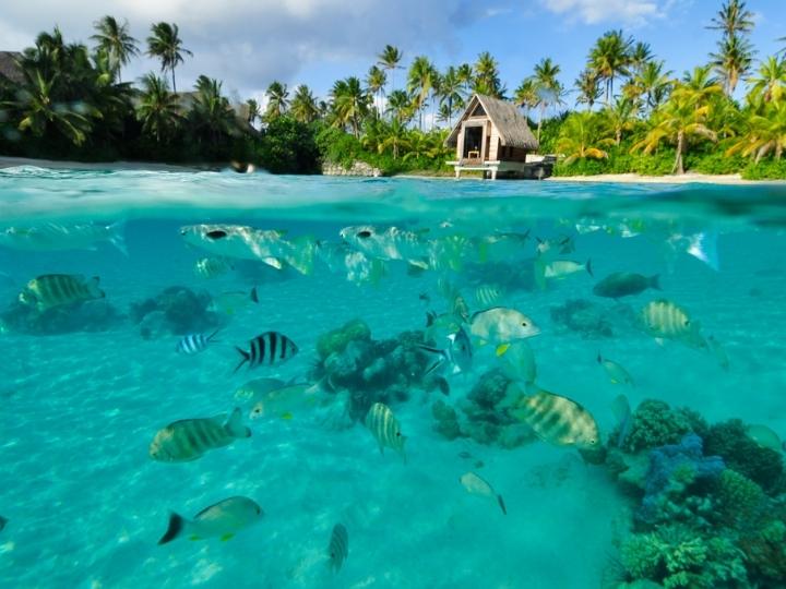 Snorkel in the Lagoonarium