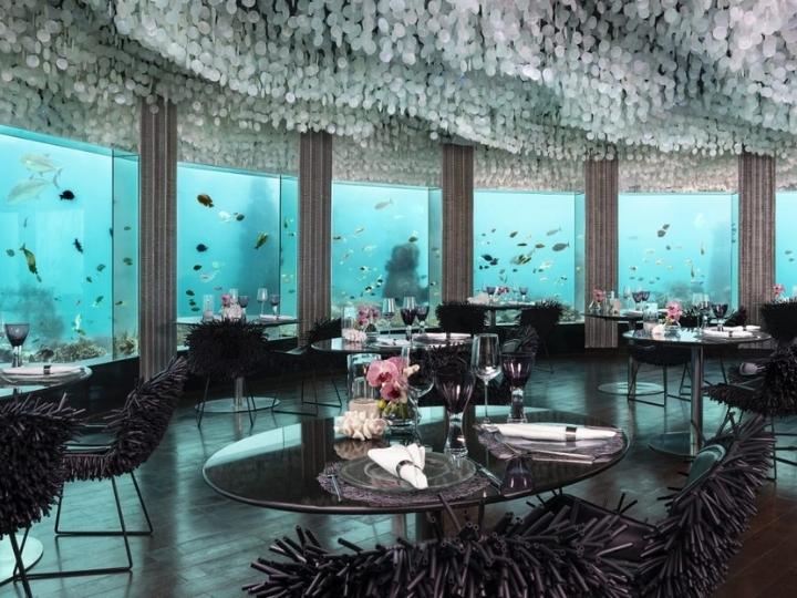 Niyama resort, Maldives