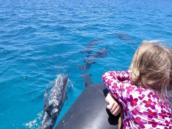 Whale watching in Bora Bora