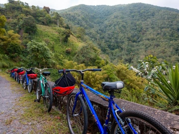 Bike down the Blue Mountains