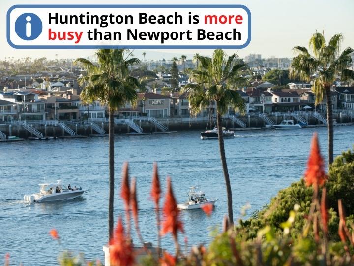 Huntington Beach vs Newport Beach: crowds