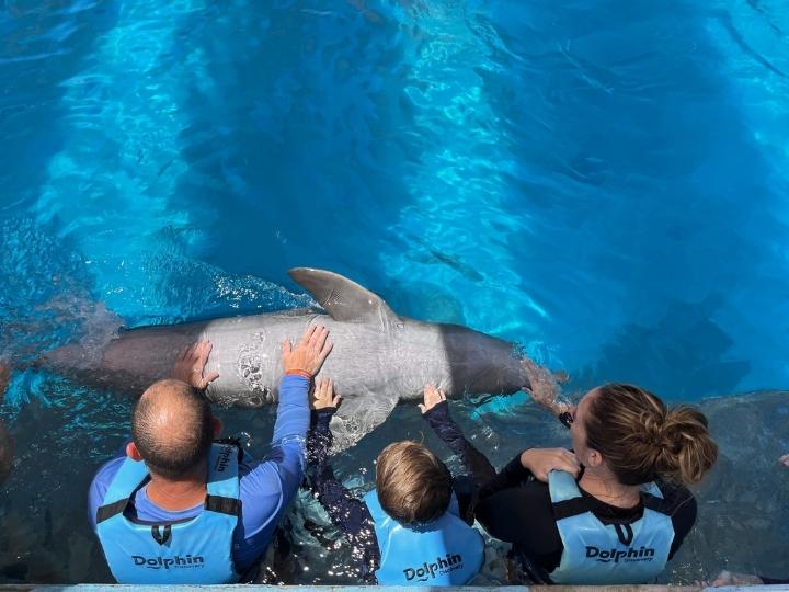 Dolphin Discovery Cancun