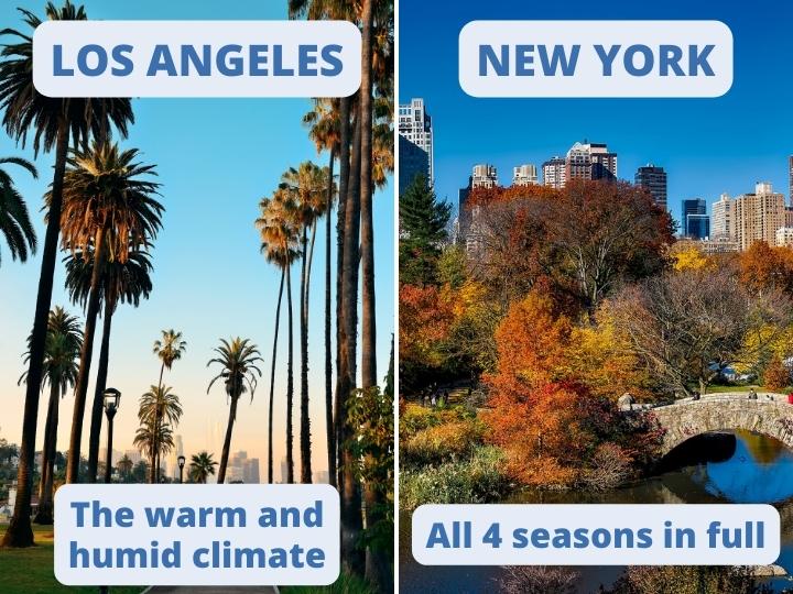 LA vs NY Weather Compare