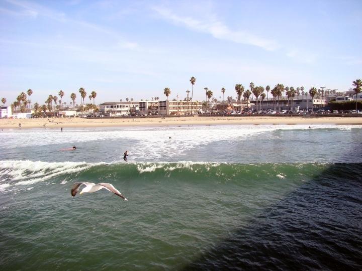 Ocean Beach
