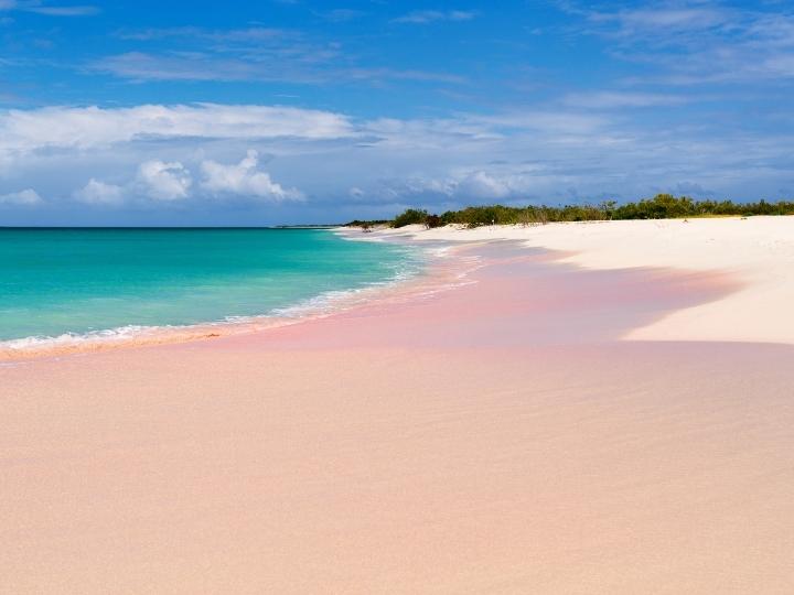 Pink Sand Beach, Harbor Island