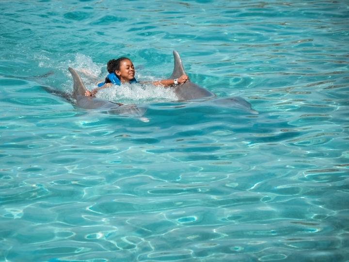 Swim with dolphins on Blue Lagoon Island