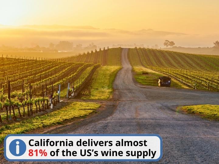 California`s Wineries and Vineyards