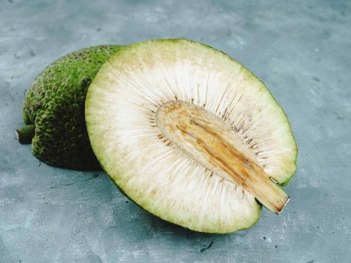 Breadfruit