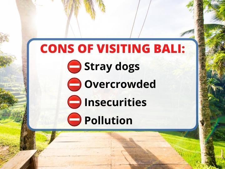 Downsides of Visiting Bali