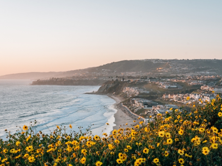 Dana Point