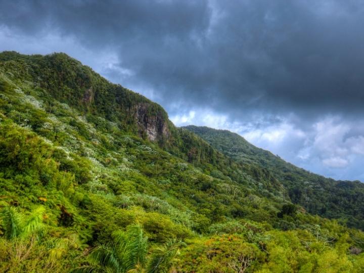 El Yunque National Forest