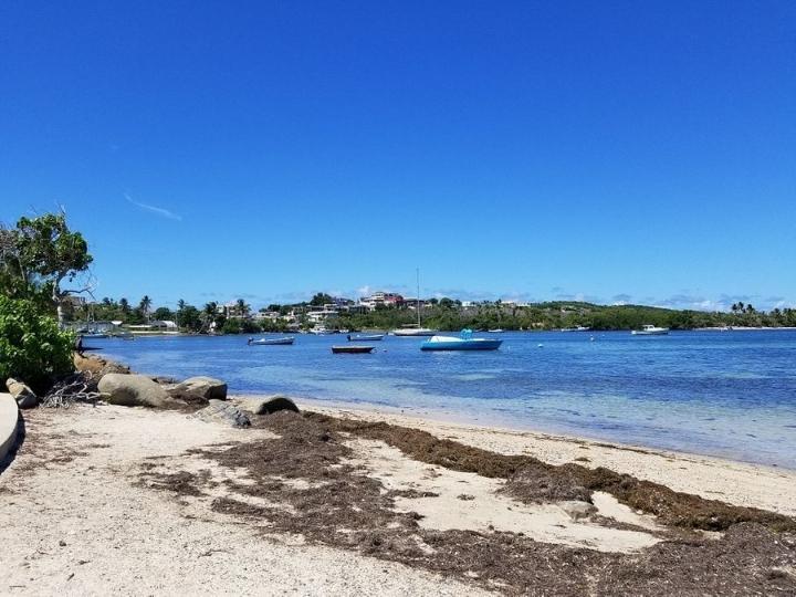 Laguna Grande, Puerto Rico