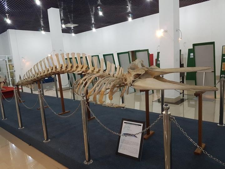Maldives National Museum