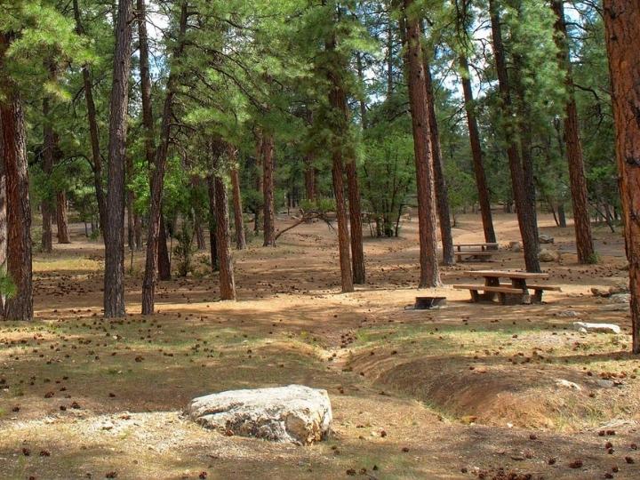 Mather Campground