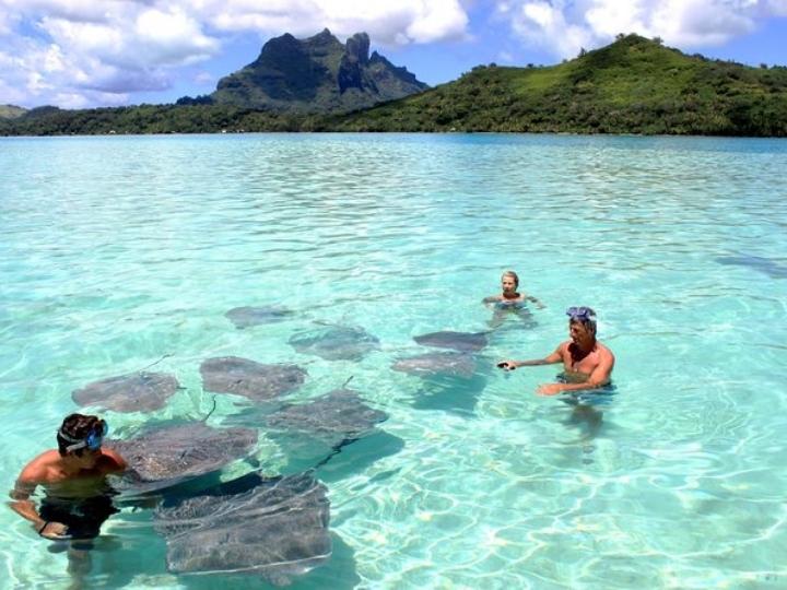 Snorkeling Bora Bora