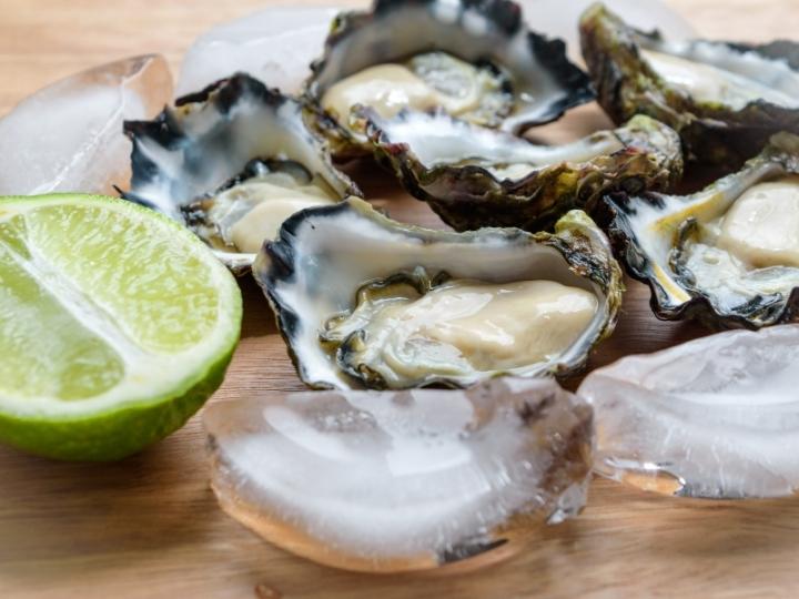 Sydney rock oyster