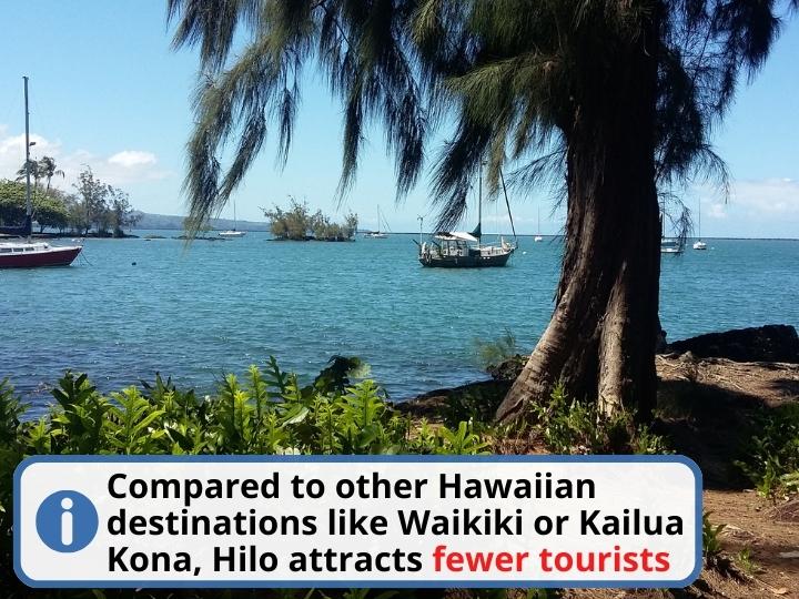 Why Is Hilo So Cheap