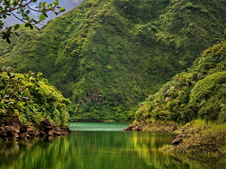 Dominica