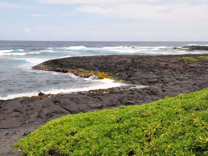 Punalu'u Beach