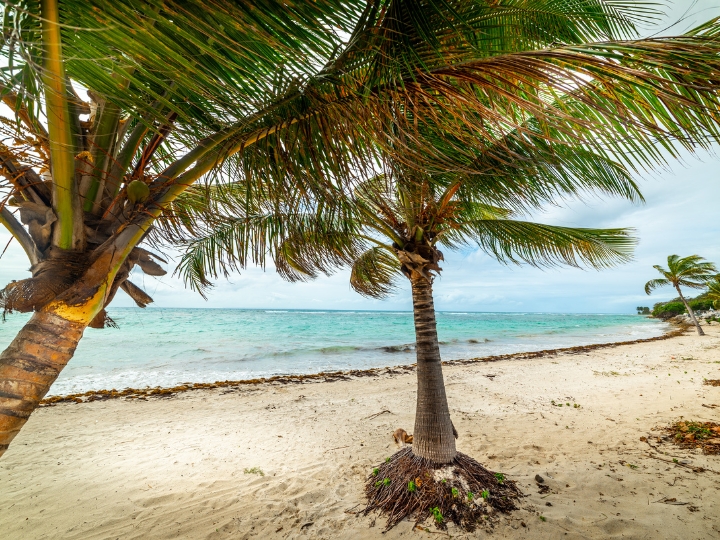 Saint-François Guadeloupe