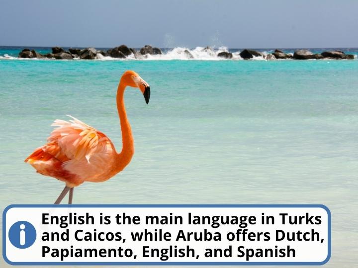 Turks and Caicos vs Aruba Language