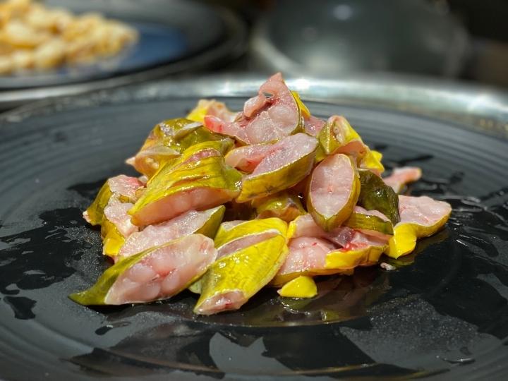 Turtle meat